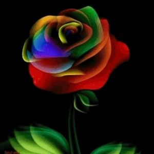 Meet your Posher, Elva